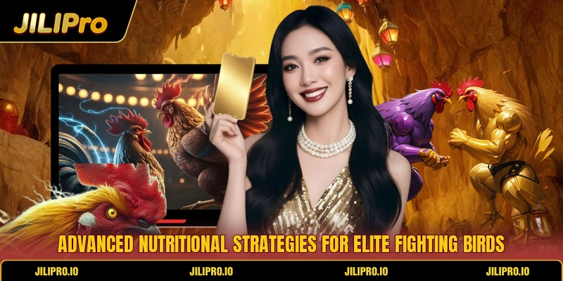 Advanced nutritional strategies for elite fighting birds
