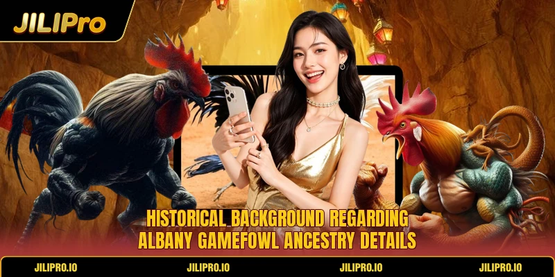 Historical background regarding Albany Gamefowl ancestry details