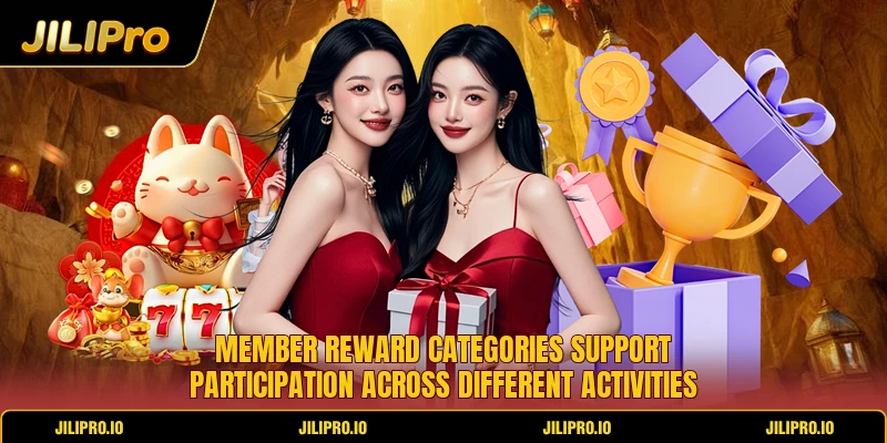 Member reward categories support participation across different activities