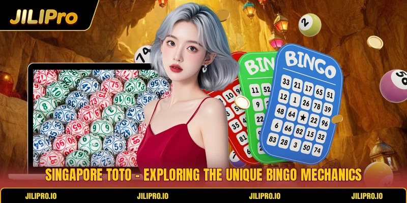 Singapore Toto - Exploring The Unique Bingo Mechanics