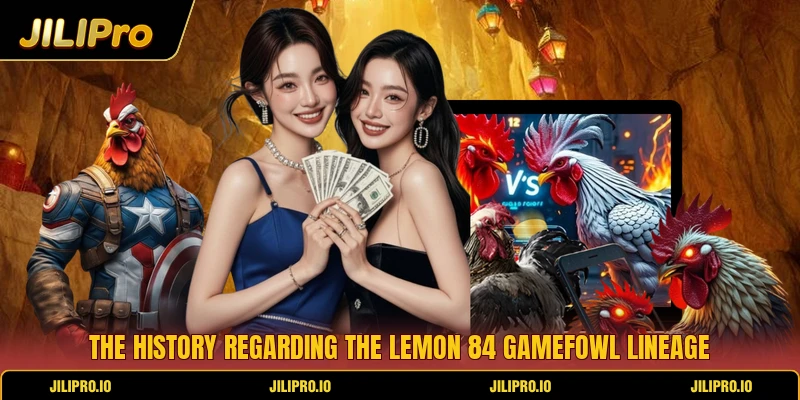 The history regarding the Lemon 84 Gamefowl lineage